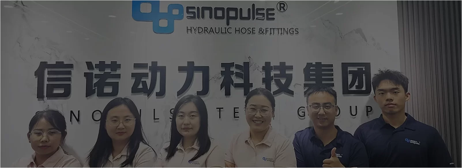 HEBEI SINOPULSE TECH GROUP CO.,LTD.